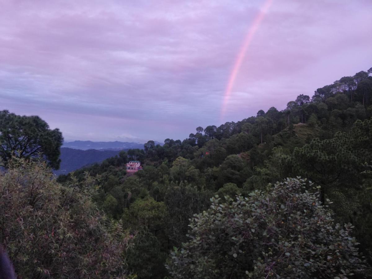 The Asgard Kasauli住宿加早餐旅馆 外观 照片