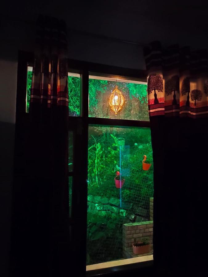 The Asgard Kasauli住宿加早餐旅馆 外观 照片